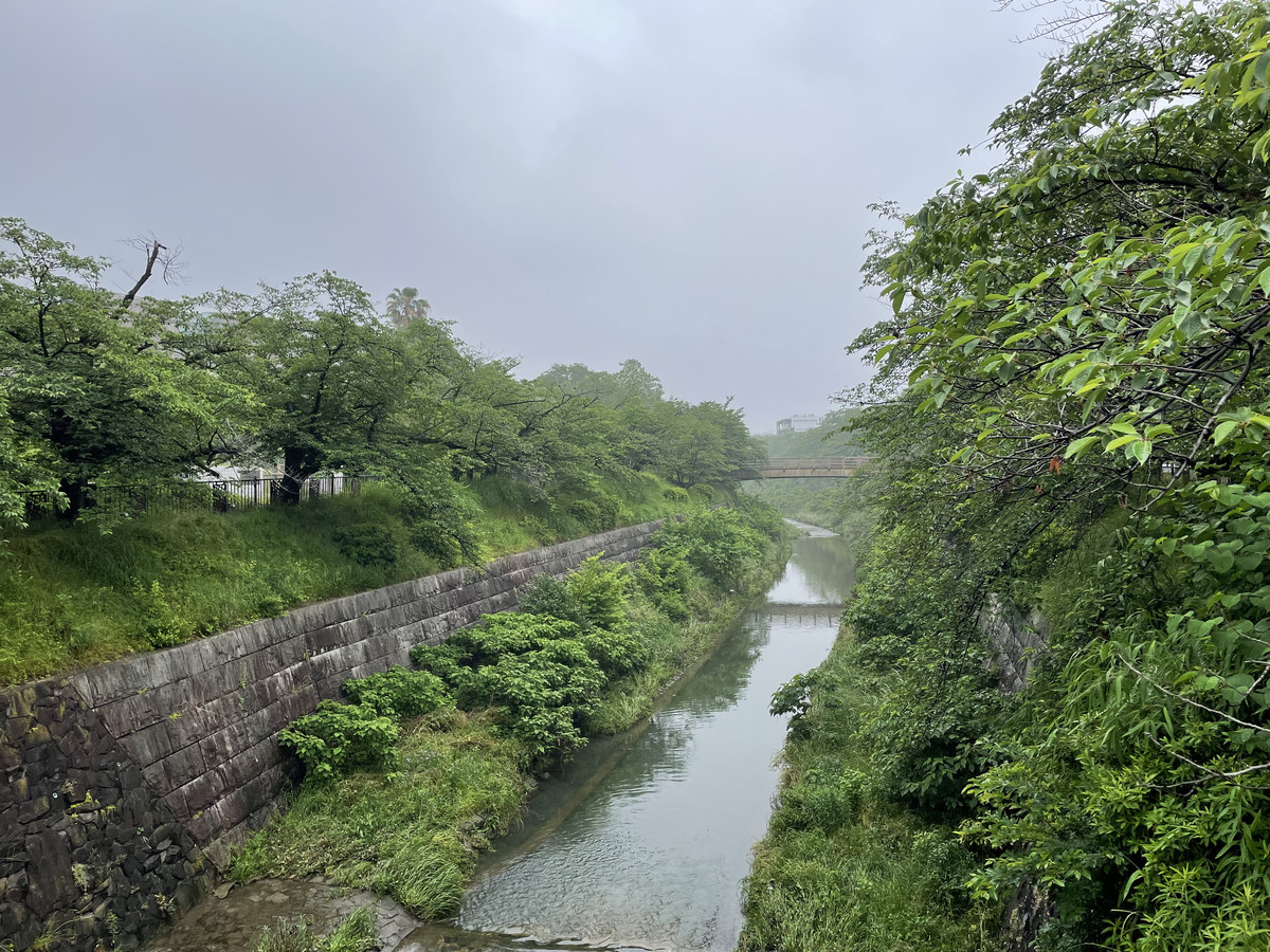 f:id:senri4000:20210519071356j:plain