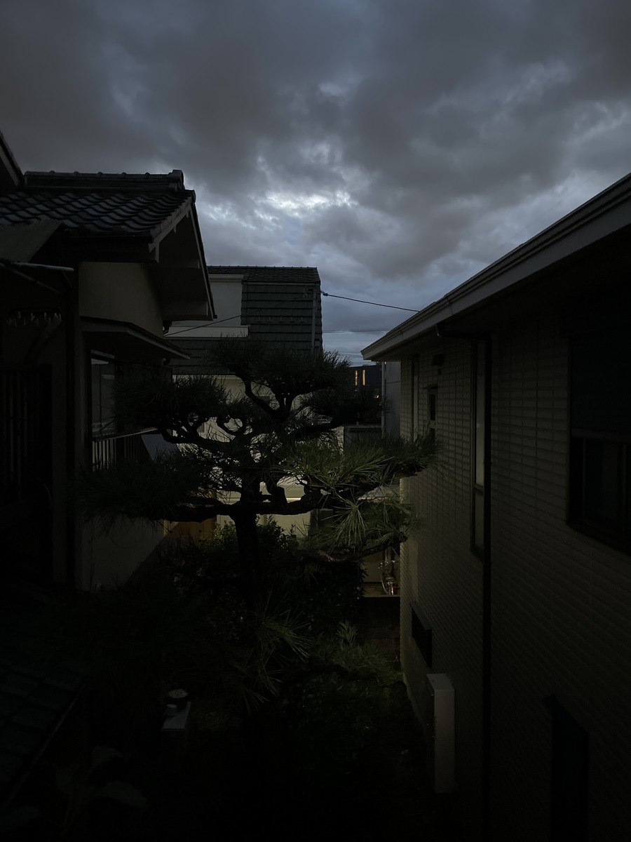 f:id:senri4000:20211201061714j:plain