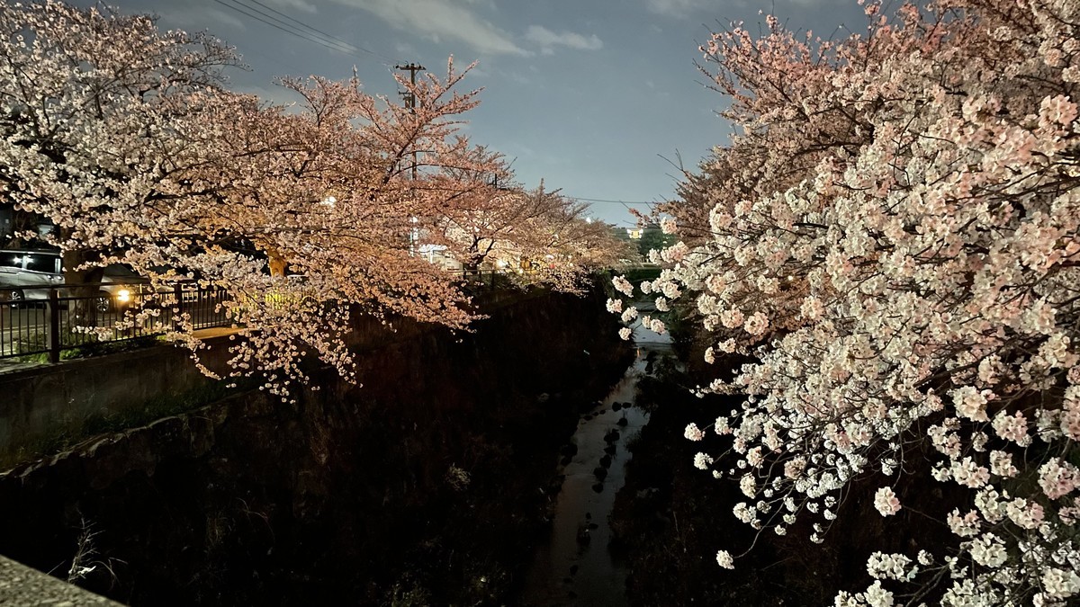 f:id:senri4000:20220330191728j:plain