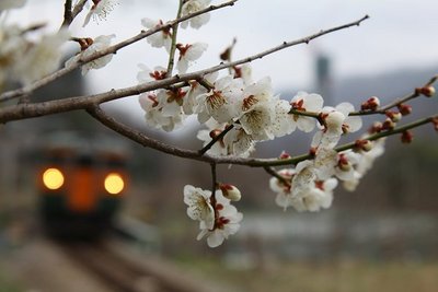 f:id:senrobata:20220322154249j:plain