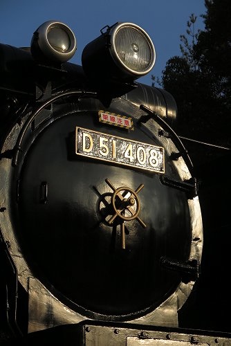 D51408に会い - 線路端のブログⅡ