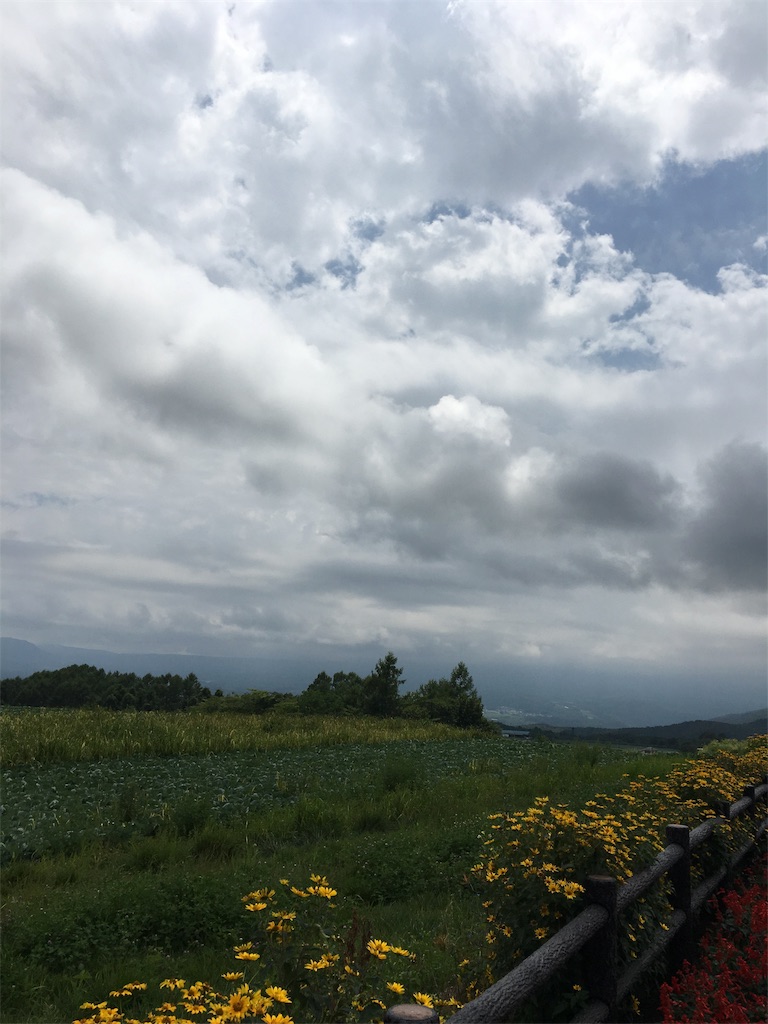 f:id:sensa7310:20180818104212j:image f:id:sensa7310:20180818104212j:image