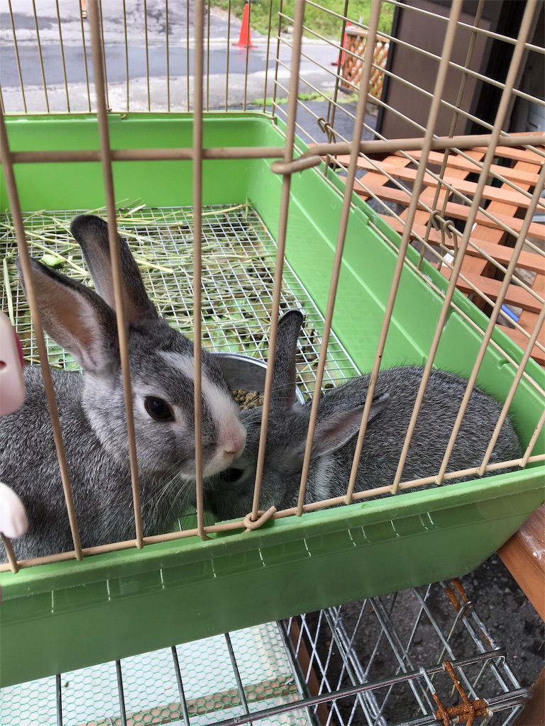 f:id:sensa7310:20180818110341j:image f:id:sensa7310:20180818110341j:image