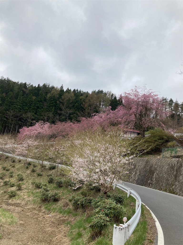 f:id:sensa7310:20210419073309j:image f:id:sensa7310:20210419073309j:image