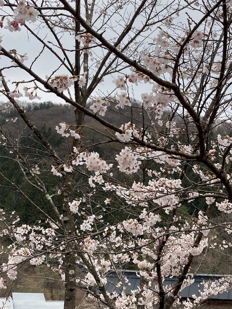 f:id:sensa7310:20210419081944j:image f:id:sensa7310:20210419081944j:image