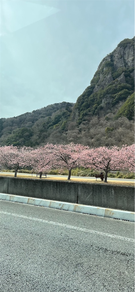 f:id:sensa7310:20260223110434j:image f:id:sensa7310:20260223110434j:image