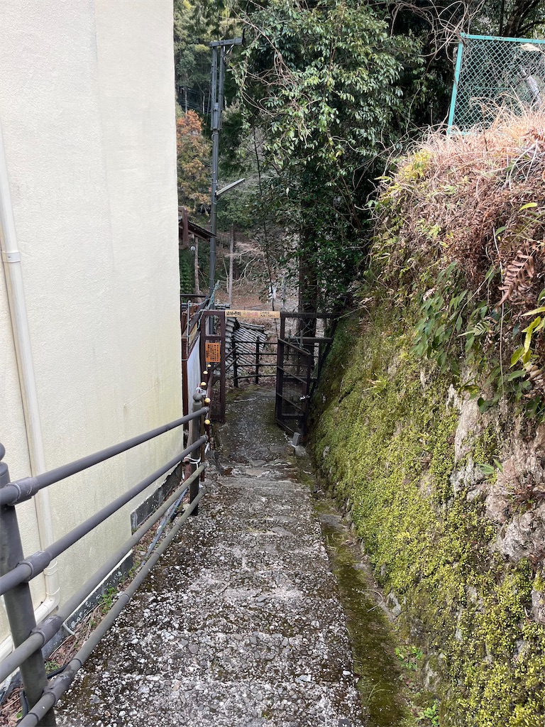 f:id:sensa7310:20260223190822j:image f:id:sensa7310:20260223190822j:image