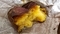 20250318112647