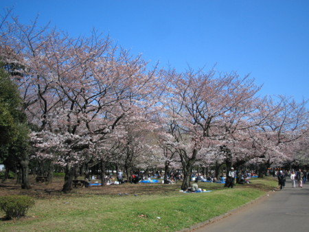 f:id:sensism:20090402132824j:image