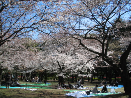 f:id:sensism:20090402132918j:image