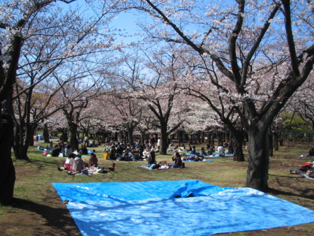 f:id:sensism:20090402133004j:image