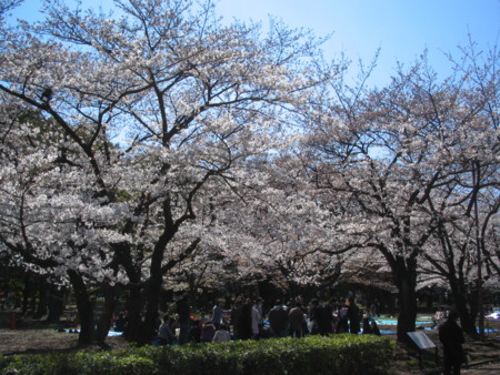 f:id:sensism:20090402133034j:image