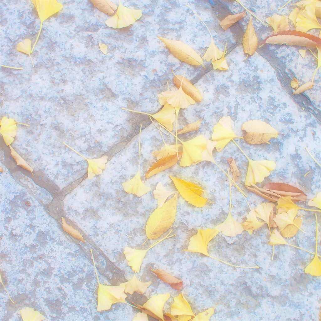 f:id:sensukekimono:20201118200301j:image f:id:sensukekimono:20201118200301j:image
