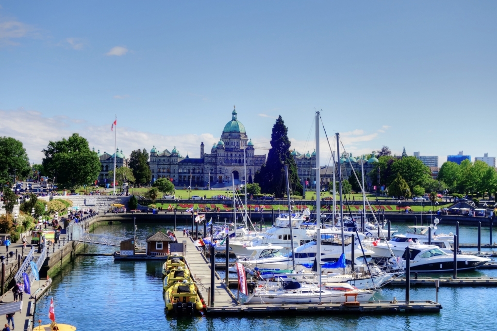 f:id:sentakubiyori:20170807233005j:plain