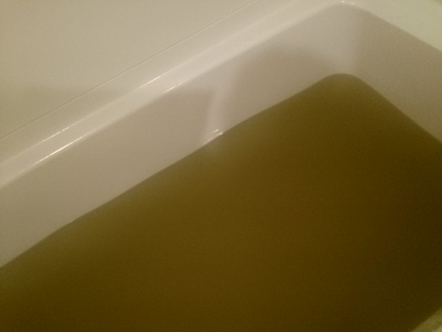 f:id:sentakubiyori09:20180508080351j:plain f:id:sentakubiyori09:20180508080351j:plain