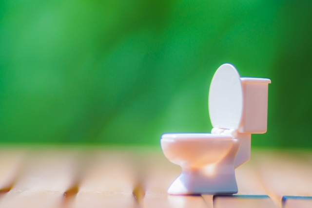 f:id:sentimentalover:20201220222446j:plain