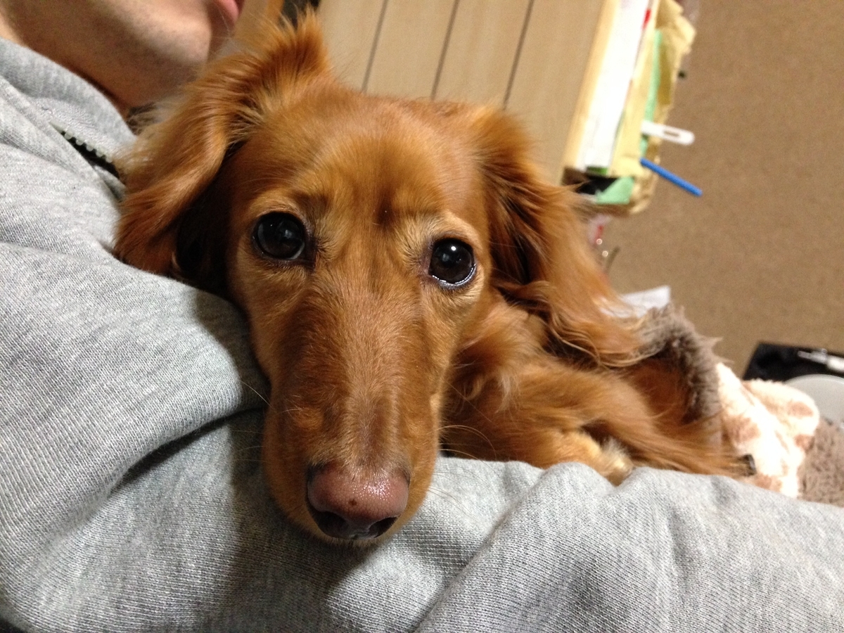 f:id:sentimentalover:20210616100700j:plain