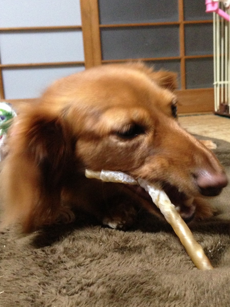 f:id:sentimentalover:20210729104524j:plain