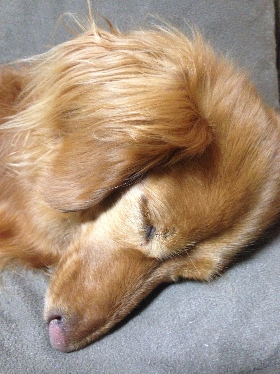 f:id:sentimentalover:20210813105006j:plain