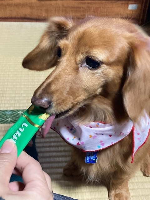 f:id:sentimentalover:20211219093751j:plain