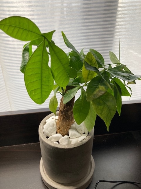 f:id:sentimentalover:20220202094111j:plain