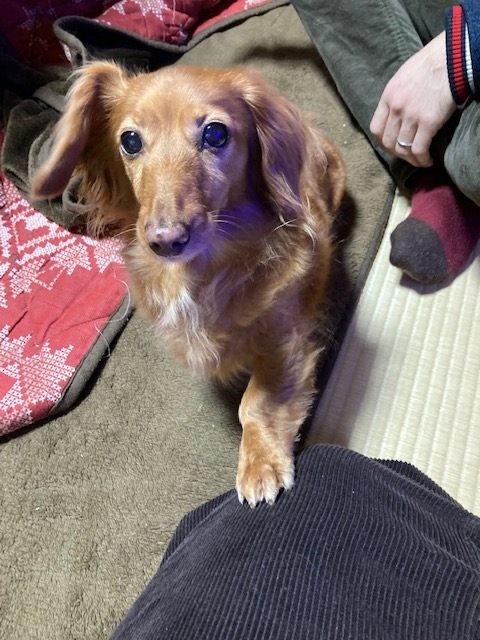 f:id:sentimentalover:20220202100728j:plain