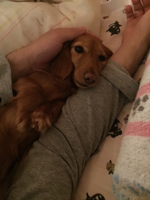 f:id:sentimentalover:20220215100442j:plain