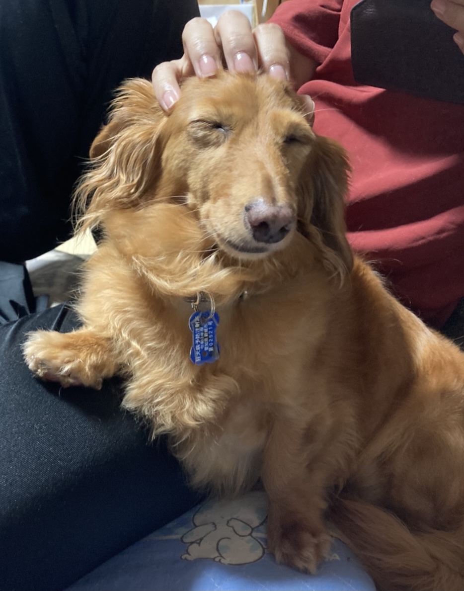 f:id:sentimentalover:20220215100516j:plain