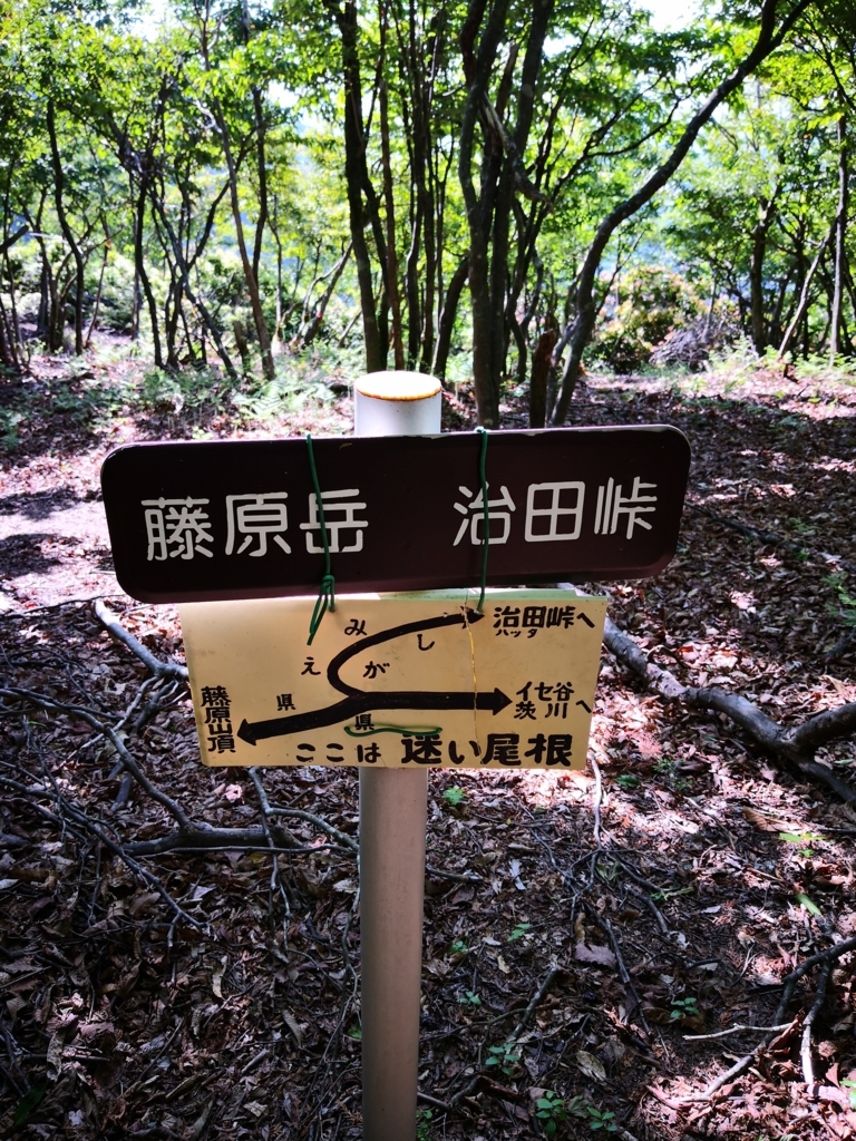 f:id:senyikang:20180609205415j:plain f:id:senyikang:20180609205415j:plain