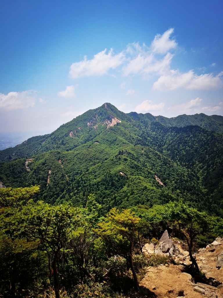 f:id:senyikang:20180610162407j:plain