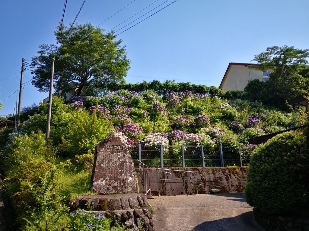 f:id:senyikang:20180627205119j:plain f:id:senyikang:20180627205119j:plain