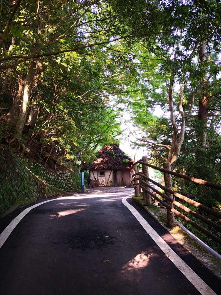 f:id:senyikang:20180627210318j:plain f:id:senyikang:20180627210318j:plain