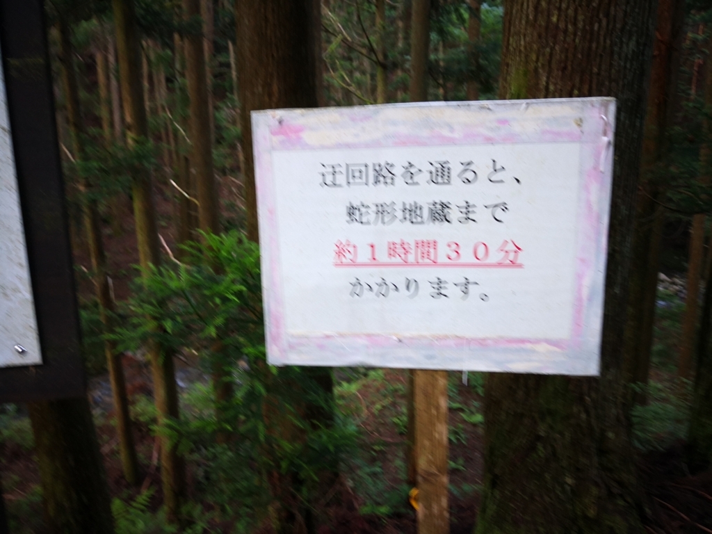 f:id:senyikang:20180627213600j:plain f:id:senyikang:20180627213600j:plain
