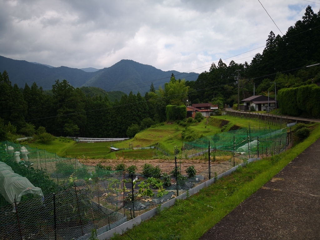 f:id:senyikang:20180628083713j:plain f:id:senyikang:20180628083713j:plain