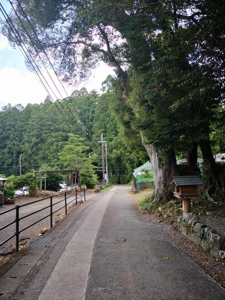 f:id:senyikang:20180628092912j:plain f:id:senyikang:20180628092912j:plain