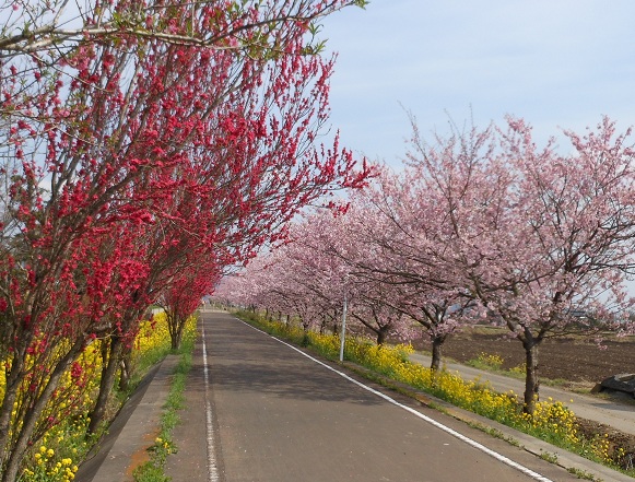 f:id:seo8214:20120415143204j:image