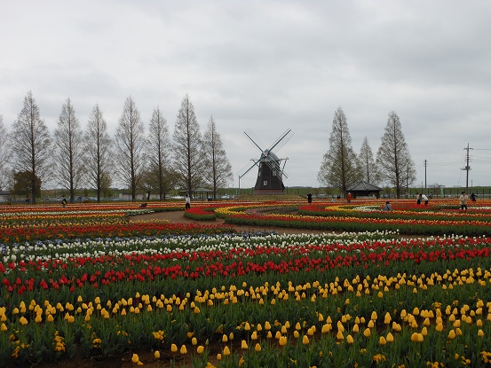 f:id:seo8214:20120421091938j:image