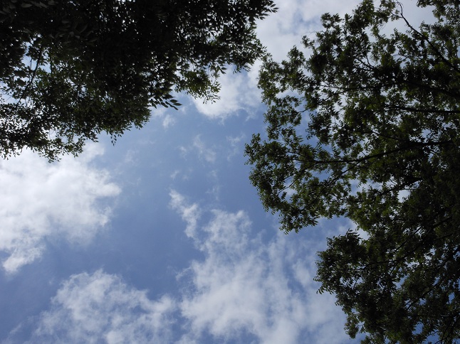 f:id:seo8214:20120708124107j:image