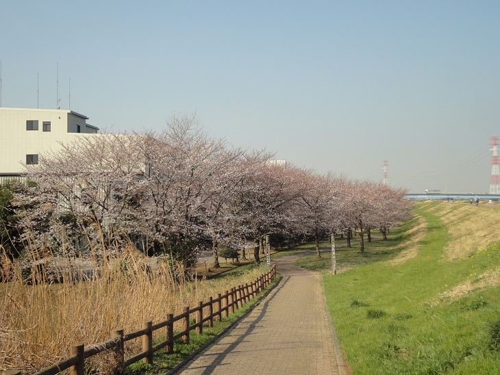 f:id:seo8214:20130323202507j:image