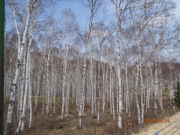 f:id:seo8214:20130414124537j:image