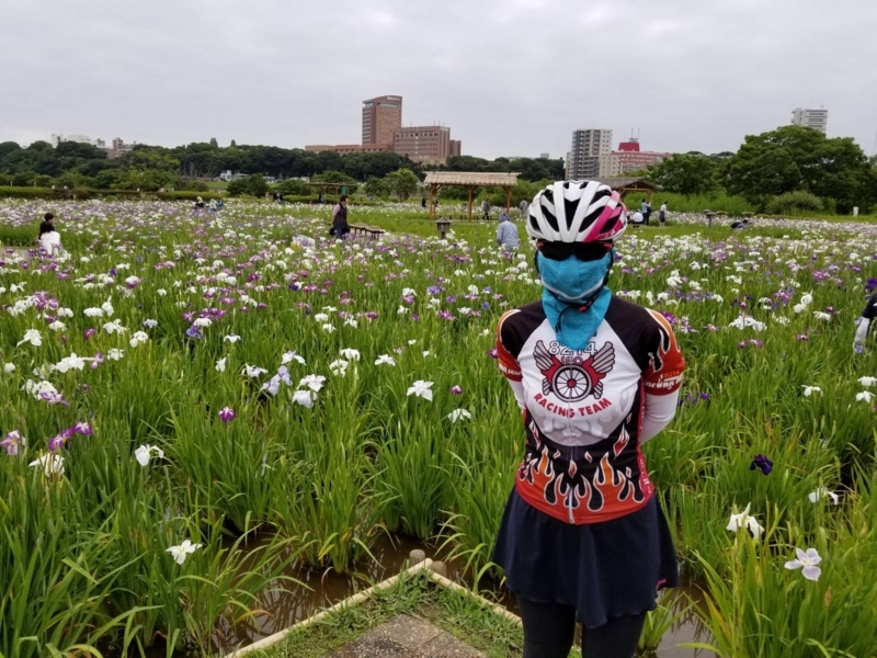 f:id:seo8214:20180617170912j:image:w640