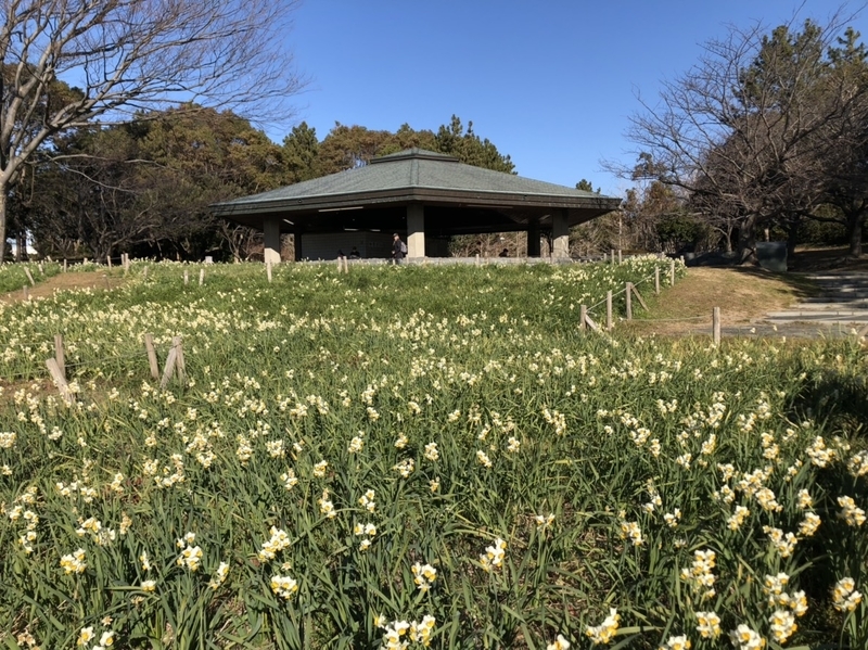 f:id:seo8214:20190120173340j:image:w640