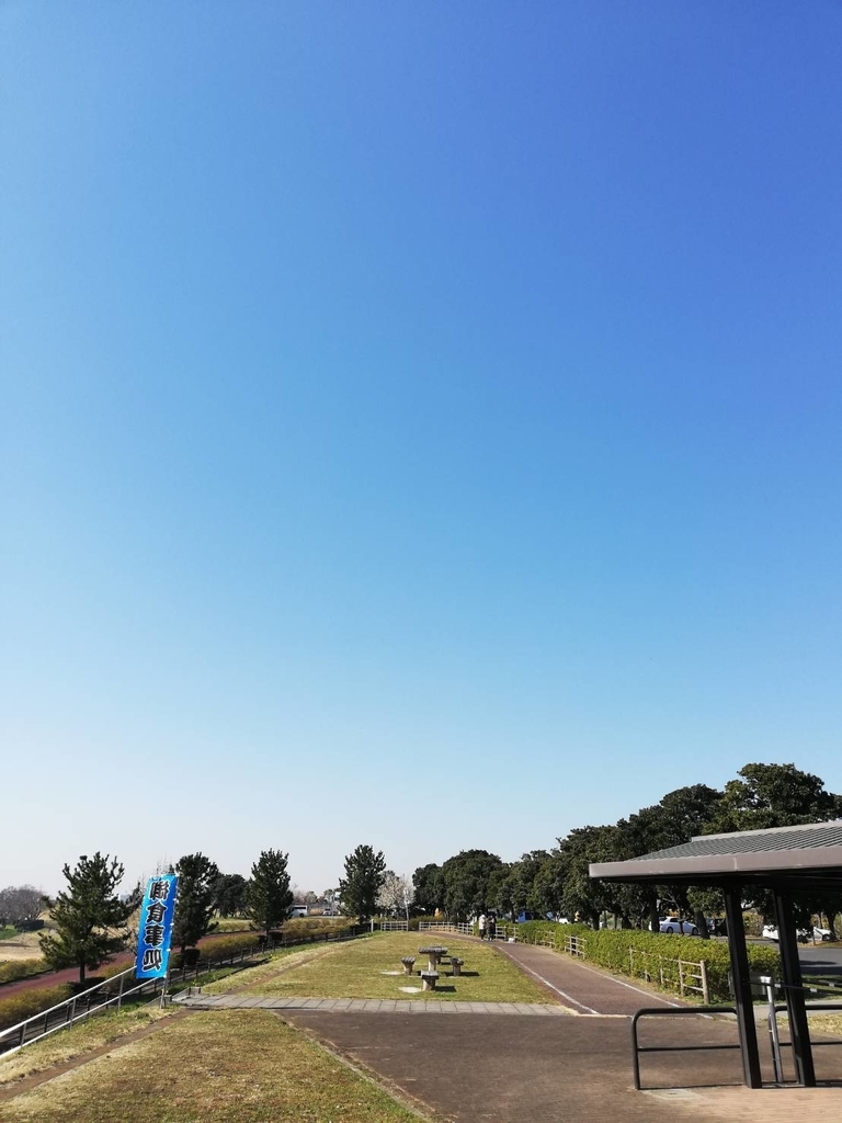 f:id:seo8214:20190311155356j:plain