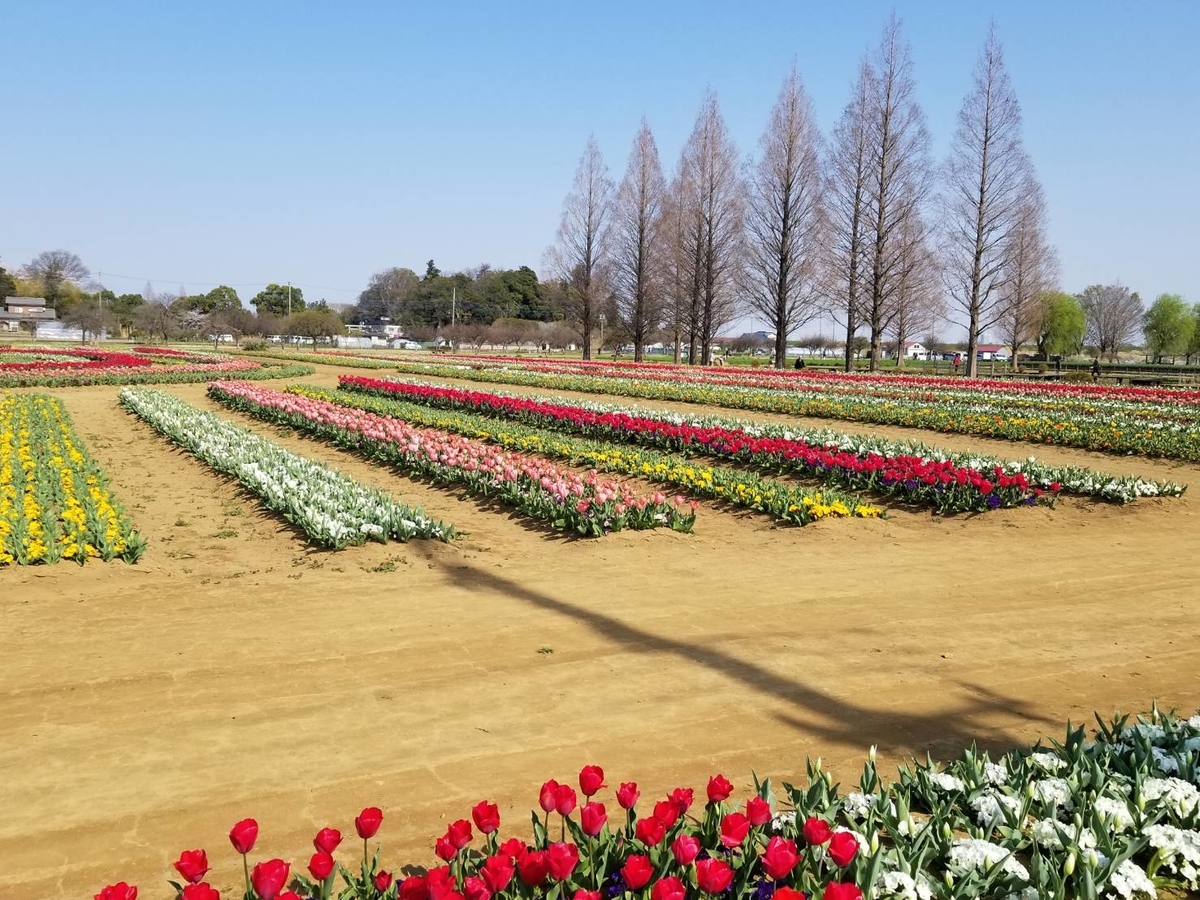 f:id:seo8214:20190408171700j:plain