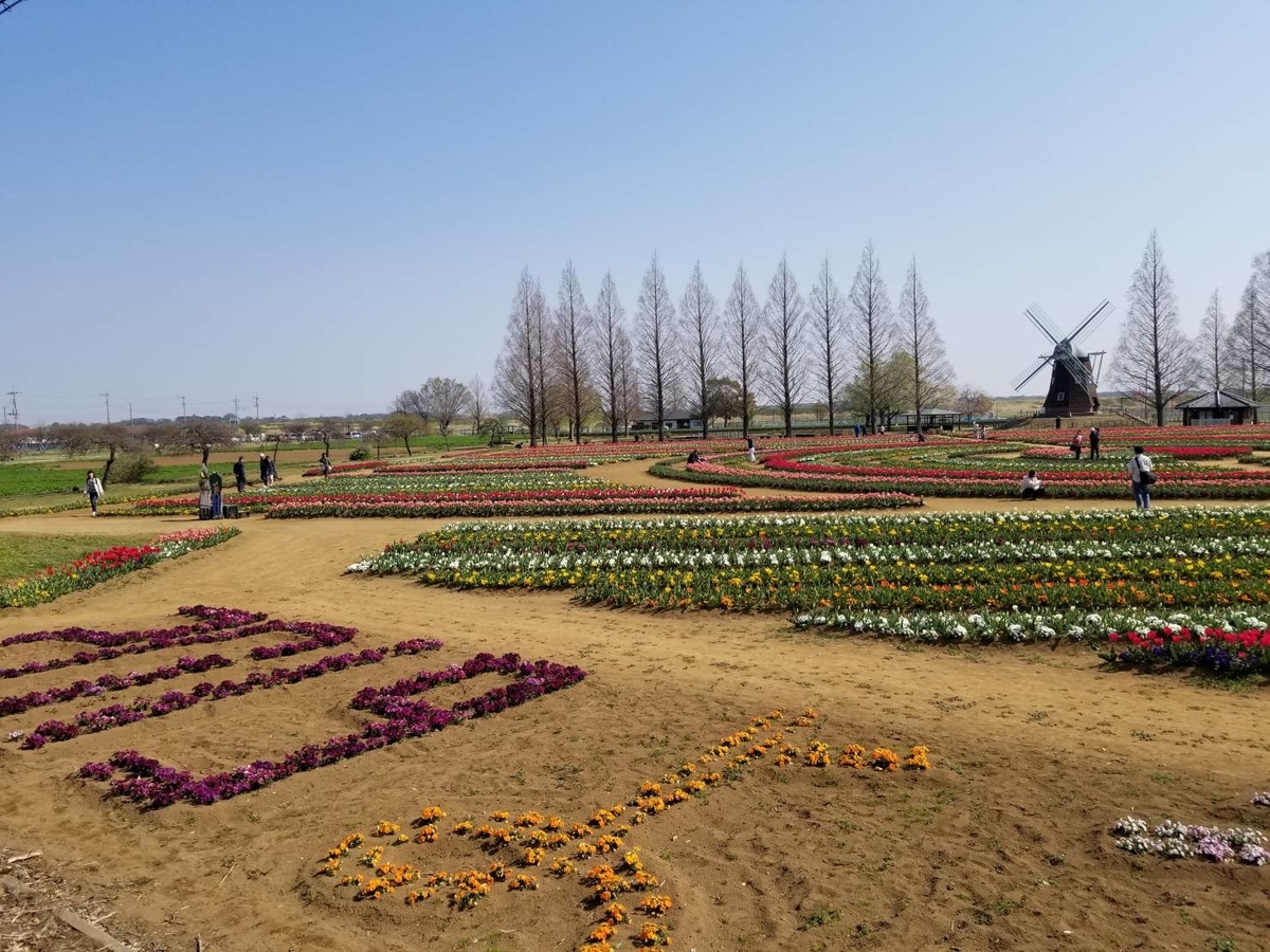 f:id:seo8214:20190408171944j:plain