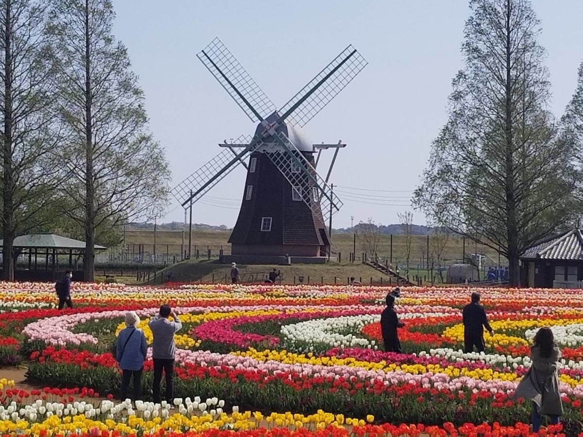 f:id:seo8214:20190421115435j:plain