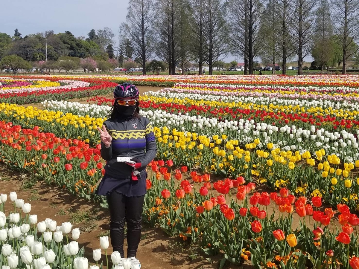 f:id:seo8214:20190421120319j:plain