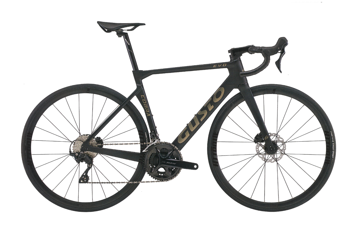 GUSTO Cobra evo 54サイズ フレームセット GUSTO Cobra evo 54サイズ フレームセット GUSTO COBRA EVO DB 2024