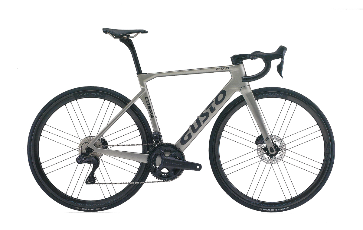 GUSTO 2024 COBRA EVO DB ELITE Mサイズ GUSTO COBRA EVO ELITE M