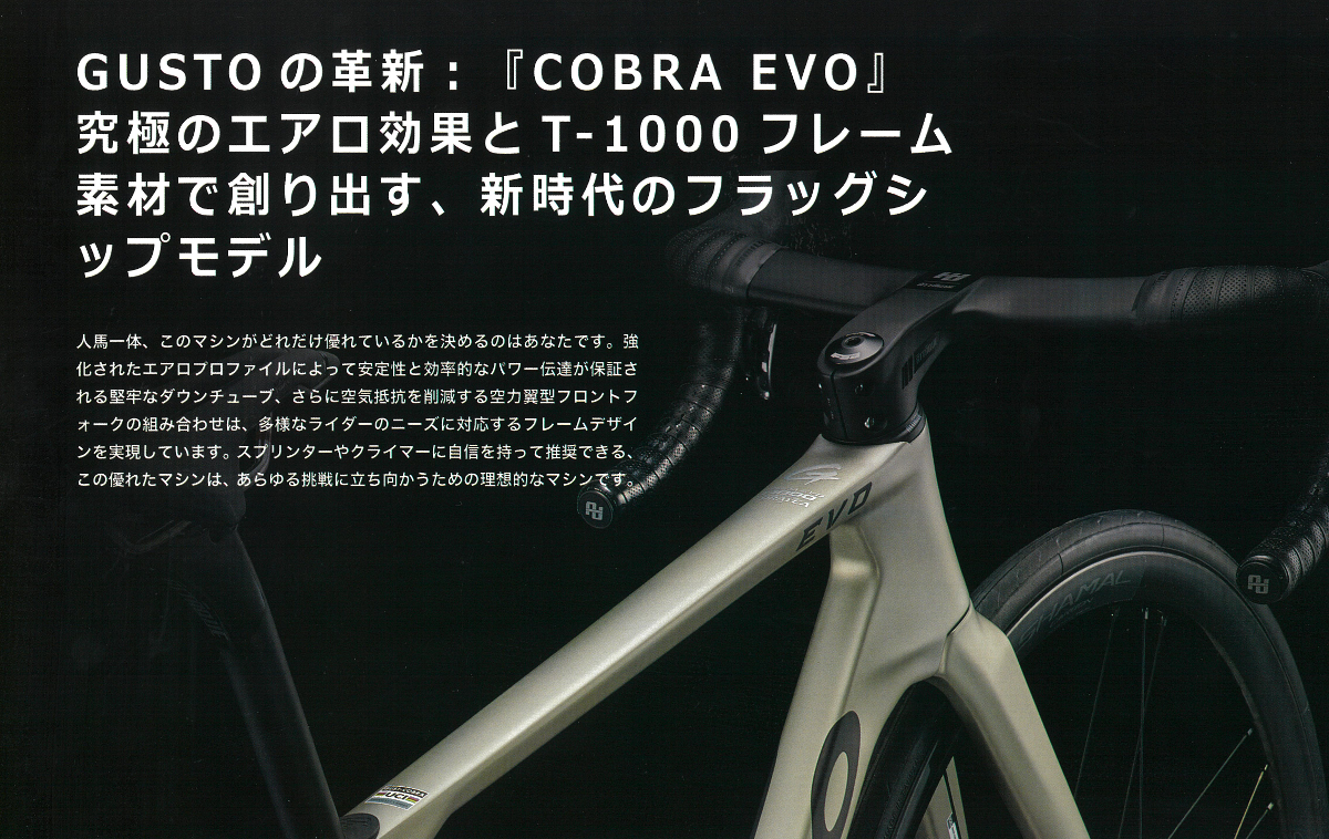 GUSTO COBRA 2024】ロードバイクフレーム ブラックコーティング